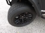 2026 DACH Golf Cart for Sale - Image 13