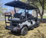 2026 Denago EV Rover XL6 LSV 6 Pass - Image 2