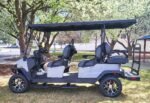 2026 Denago EV Rover XL6 LSV 6 Pass - Image 3