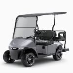 2025 E-Z-GO Freedom RXV Elite Lithium, Platinum | Carts & Parts